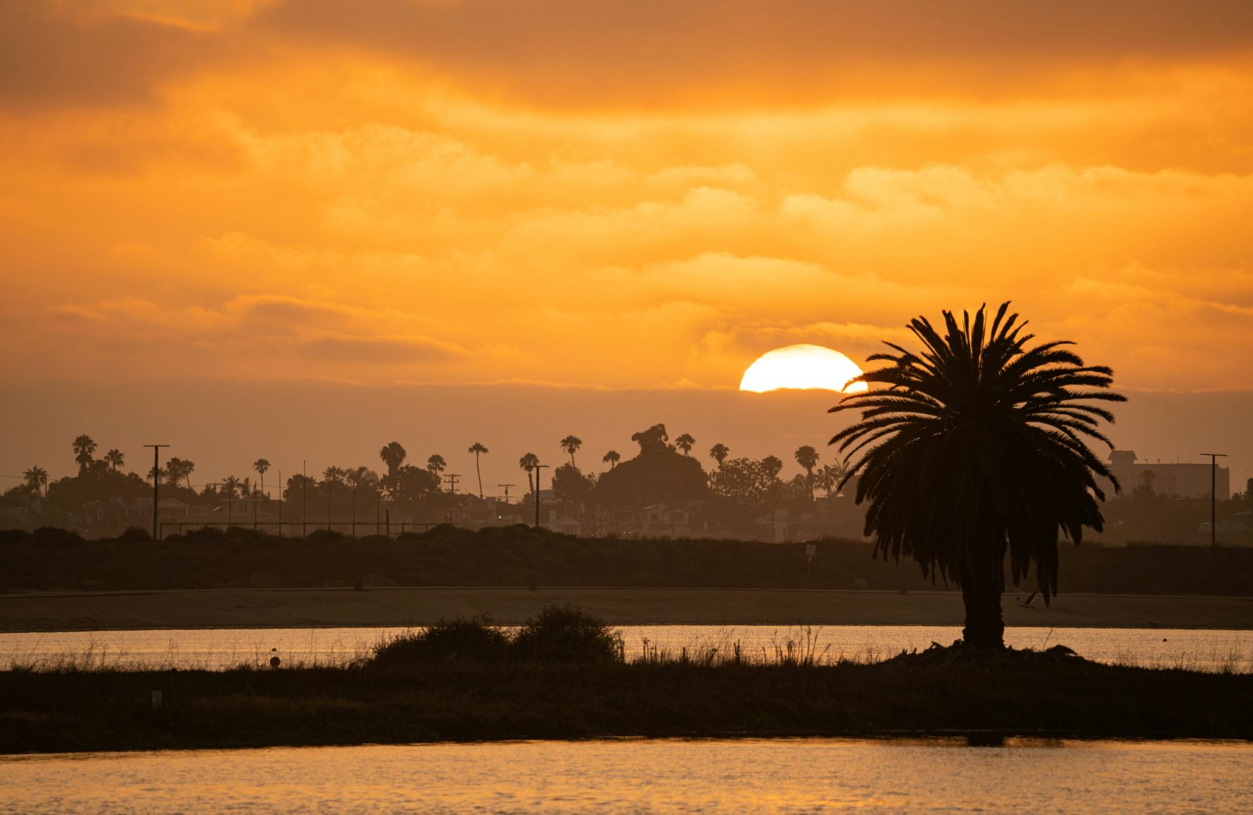 chula vista night